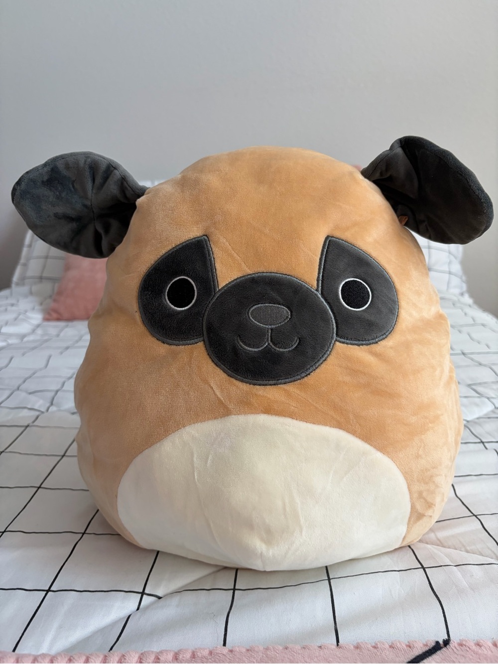 Prince the pug Squishmallow  - Tan and Black